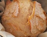 A picture of step 10 of No Knead Rustic Bread.