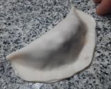 Foto del paso 2 de la receta: Empanadas de carne clásica