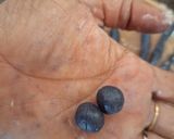 A picture of step 4 of Butterfly pea boba tea.