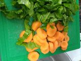 Rapiditas/tacos de acelga y zanahoria