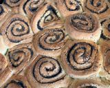 Pas rețetă Cinnamon clasic cu mac(umplutură este la dorință) 6 fotografie