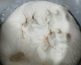 Foto del paso 5 de la receta: Bodigos de chicharrón