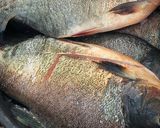 Foto langkah ke 1 dari resep Ikan bawal Asam manis.
