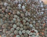 Foto langkah ke 4 dari resep Boba Pearl/Bubble.