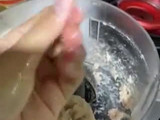 Homemade Bakso No MSG, Kenyal, Gluten Free