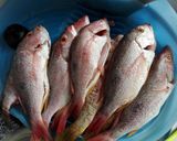 Foto del paso 1 de la receta: Pescado frito