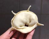 Foto del paso 3 de la receta: Agnolottis de jamón y queso - ¡Súper FÁCILES! 🥠