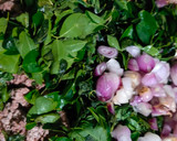 முருங்கைக்கரை ரொட்டி ரெசிபி ஸ்டேப் 1 புகைப்படம்