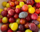 Hình bước làm 1 của món Mứt mận (Plum)