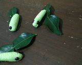 Foto langkah ke 6 dari resep Worm cookies.