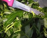 Foto langkah ke 1 dari resep Kangkung seafood.