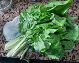 Foto del paso 4 de la receta: Canelones de verduras