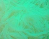 Risol Soto Mie Bogor langkah memasak 1 foto