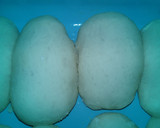 Foto del paso 4 de la receta: Pan casero fácil