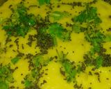 A picture of step 3 of Dhokla.