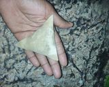 A picture of step 6 of Samosa.