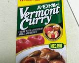 Japanes Curry rice
