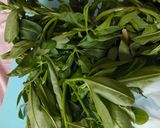 Foto langkah ke 1 dari resep Sayur Kuah Daun Ginseng.