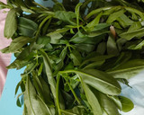 Foto langkah ke 1 dari resep Sayur Kuah Daun Ginseng.