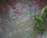 Foto langkah ke 5 dari resep Bubur candil pelangi by lely.