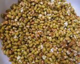 Foto langkah ke 1 dari resep Isian Kacang Hijau.