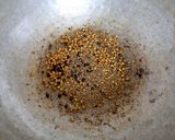 A picture of step 4 of Moringa powder.