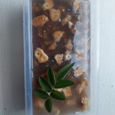 Langkah 3