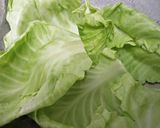 A picture of step 1 of Spicy Cabbage Rolls.