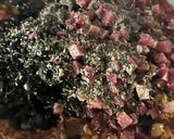 Foto del paso 5 de la receta: Salsa Boloñesa con calabacín, jamón serrano y aceitunas negras !!!!