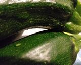 Foto del passaggio 1 della ricetta Zucchine e mozzarella