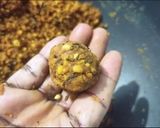 A picture of step 5 of Delhi Wali Khasta Kachori.