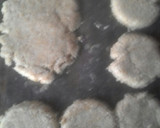 Foto del paso 4 de la receta: Alfajores de coco y avena