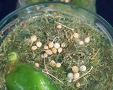 عکس مرحله 3 از دستور خیارشور سرکه ای