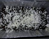 Foto langkah ke 1 dari resep Brownis Kukus Nutricake.