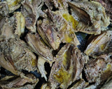 Foto del paso 4 de la receta: Perdices y palomas estofadas 🐦🐦