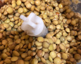 Foto del paso 1 de la receta: Pan de lentejas sin harinas ni TACC. Lo vas a adoptar inmediatamente!