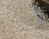 A picture of step 1 of Sesame seed sauce.