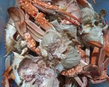 Foto langkah ke 2 dari resep 37. Rajungan Saus Padang.