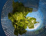 Foto langkah ke 1 dari resep Sayur Tempe Daun Melinjo.