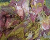 Foto langkah ke 1 dari resep Lapis Daging.