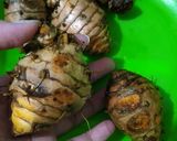 Foto langkah ke 1 dari resep Sari kunyit biang (Turmeric Root) untuk terapi lambung tidak nyaman.