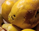 Une image de l'étape 1 de Confiture de coings au Cook Expert.