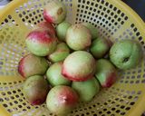 Hình bước làm 1 của món Đào ngâm