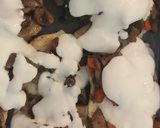 Szaftos gombás csirkemell 🍄 recept fázis 7 fotója