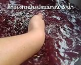 รูปขั้นตอนการทำที่ 1 ของ วิธีนึ่งข้าวเหนียวดำให้นุ่ม เม็ดสวย สีสวย
