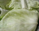 Foto del paso 2 de la receta: Niño envuelto (repollo)