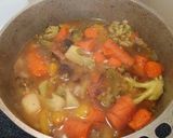 A picture of step 9 of Rainbow Vegtable Stew.