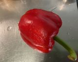 Une image de l'étape 3 de Poulet au lait de coco et poivrons.