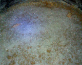 Foto del paso 2 de la receta: Voteado de fruras