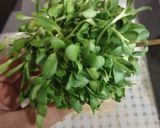 મેથી ના ગોટા(methi na gota recipe in gujarati) રેસીપી સ્ટેપ1ફોટો